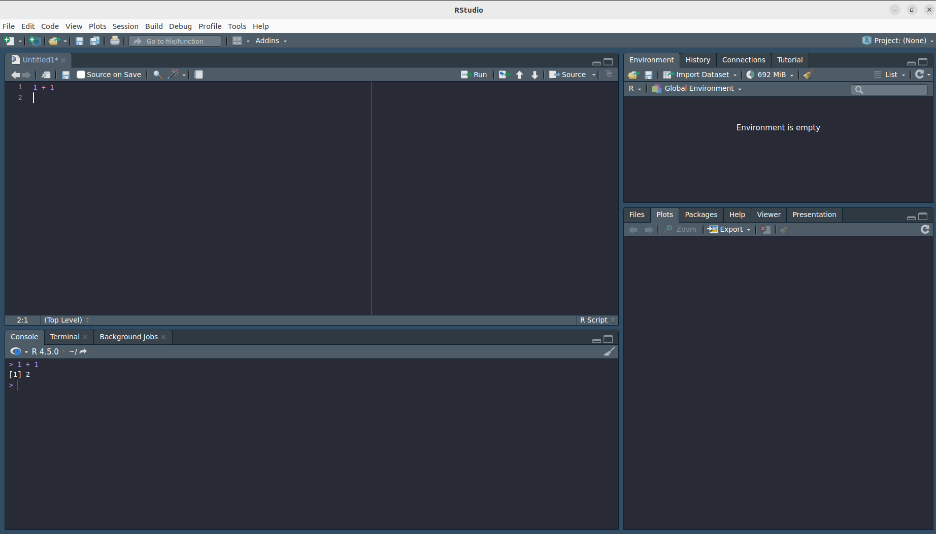 Ein Bild von RStudio fast ohne Inhalt.